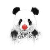 司徒K的头像